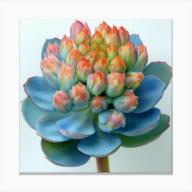 Succulent Flower 1 Toile