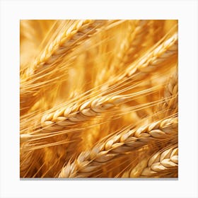 Golden Wheat 2 Canvas Print