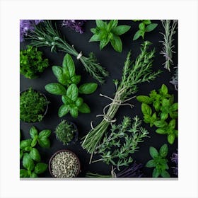 Top View Of Herbs On A Black Background 5 Canvas Print