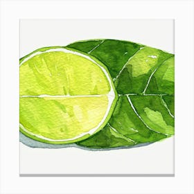 Lime Slice Watercolor Painting Canvas Print