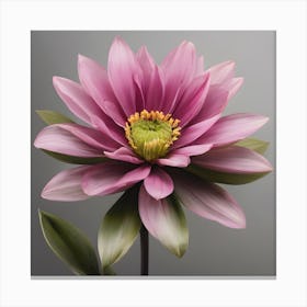 Pink Dahlia Canvas Print