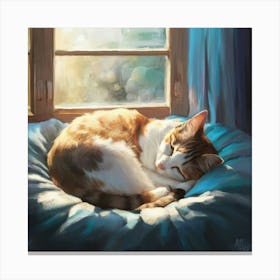 Cat Sleeping By The Window 1 Canvas Print