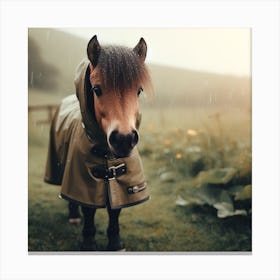 Little Pony In The Rain Canvas Print