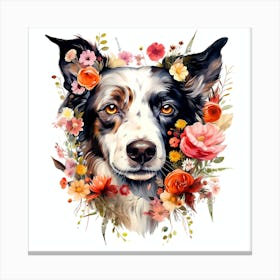 Border Collie Canvas Print