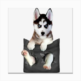 Siberian Husky In Pocket Puppy Canvas Print