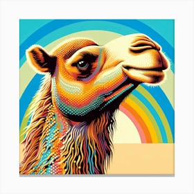 Camel 7 Canvas Print