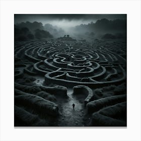 Labyrinth 1 Canvas Print