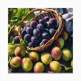 Plums In A Basket Canvas Print