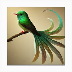 Hummingbird 33 Canvas Print