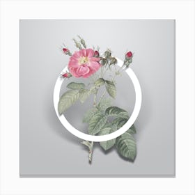 Vintage Harsh Downy Rose Minimalist Flower Geometric Circle on Soft Gray n.0142 Canvas Print