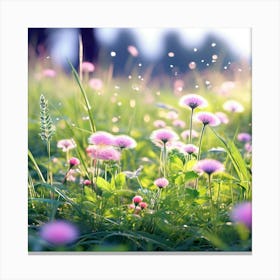 Dandelion Field Canvas Print