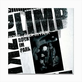 Limp Bizkit Album Cover 6 Canvas Print