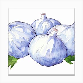 Watercolor Illustration Of Garlic Canvas Print