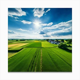 Green Farm Nature Field Landscape Countryside Agriculture Grass Gold Grow Japan Air Plan (11) Canvas Print