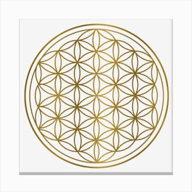 Gold Flower Of Life Sacred Geometry Canvas Print