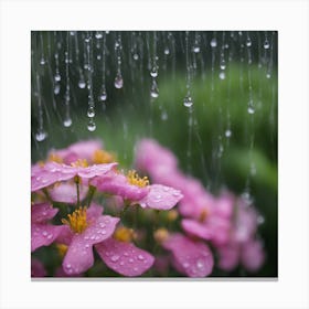 Raindrops On Flowers 1 Canvas Print