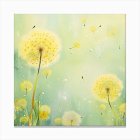 Dandelion Canvas Print