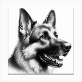 Pencil Drawing of A German Shepherd Dog Canvas Print