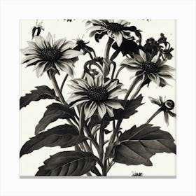 Sunflowers And Bees Black Eyed Susan Wildflower Vintage Botanical Art Print Canvas Print