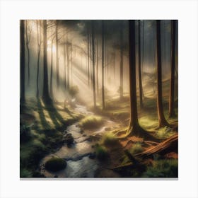 Sunrise In The Forest Canvas Print