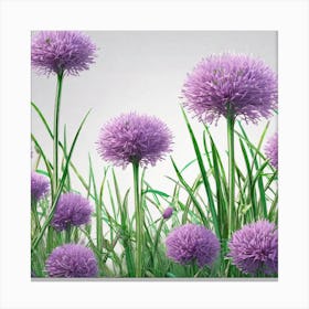 Purple Chives 3 Canvas Print