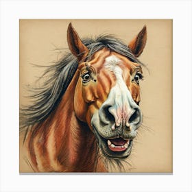 Horse'S Face Canvas Print