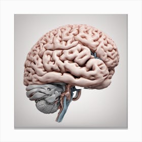 Brain - Brain Stock Videos & Royalty-Free Footage Canvas Print