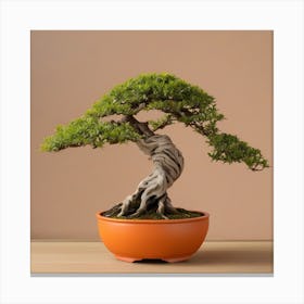 Green bonsai in orange pot Canvas Print