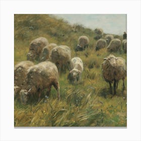 Sheeps 222 Canvas Print