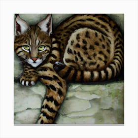 Wild Cat Canvas Print