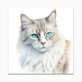 Neva Masquerade Cat Portrait 2 Canvas Print