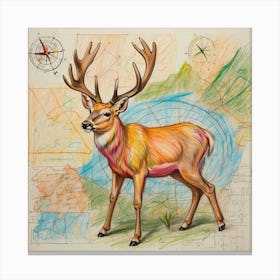 Deer! 58 Canvas Print