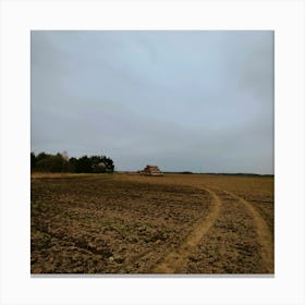 Poland paddyfeild Canvas Print