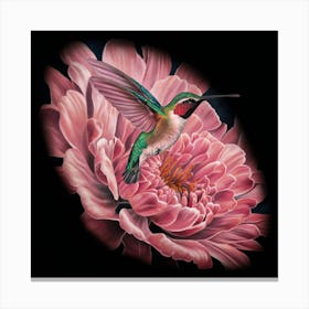 Hummingbird On A Pink Flower Canvas Print