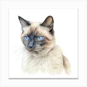 Colourpoint Cat Portrait 1 Canvas Print