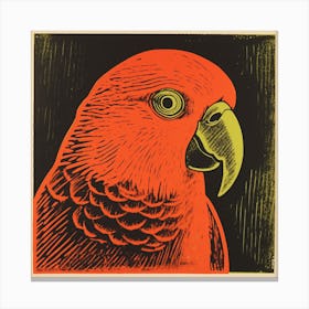 Retro Bird Lithograph Parrot 4 Canvas Print