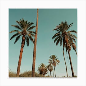 Default Palm Trees In Art Print 0 Canvas Print