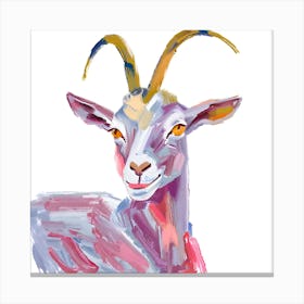 Goat 11 Canvas Print