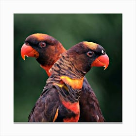 Orange Parrots 8608540 1280 Canvas Print