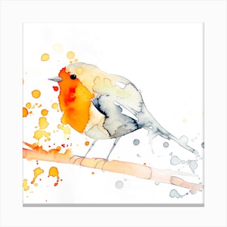 Robin Bird 2 Canvas Print