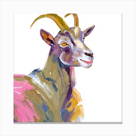 Goat 08 Canvas Print