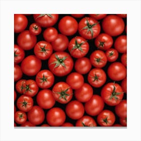 Red Tomatoes 6 Canvas Print