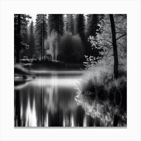 Black And White Forest 1 Canvas Print