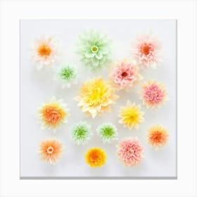 Dahlias Canvas Print