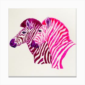 Zebras Square Canvas Print