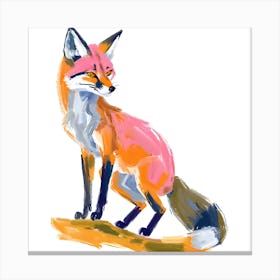 Gray Fox 02 Canvas Print