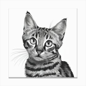 Striking Gaze Black And White Cat Illustration (1) Canvas Print