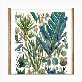 Botanical Print Jardin Majorelle, Morocco Vintage Botanical Art Print Canvas Print