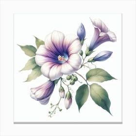 Flower of Glycinia 1 Canvas Print