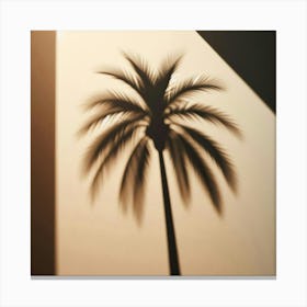 Shadow Of Palm Tree 3 Canvas Print